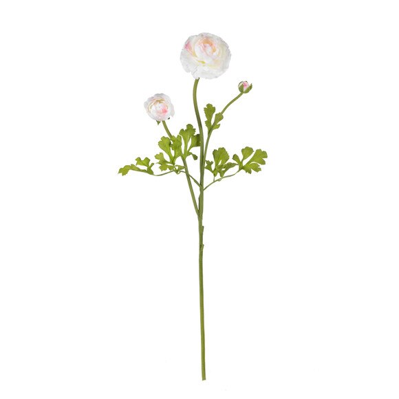 23 Ranunculus Stem - SKU #2108-MB - 4
